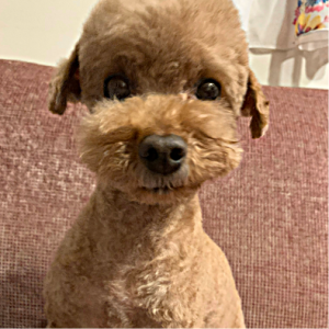 年末年始のご案内