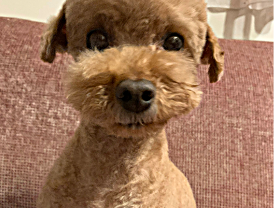 年末年始のご案内